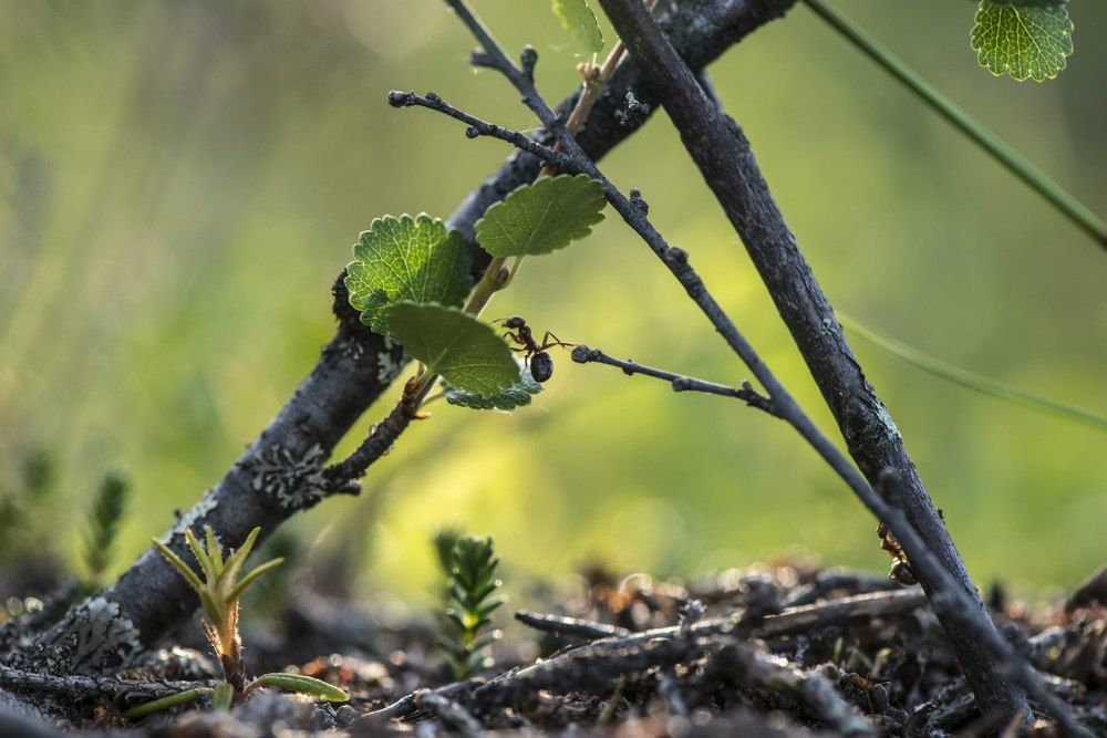 Почти у цели