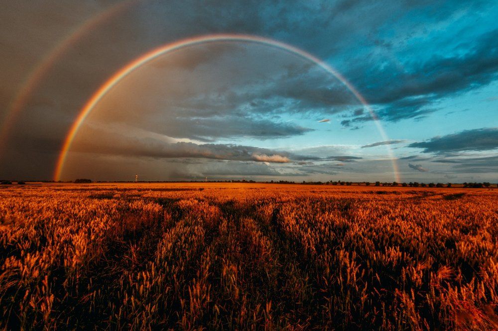 What a Wonderful World!