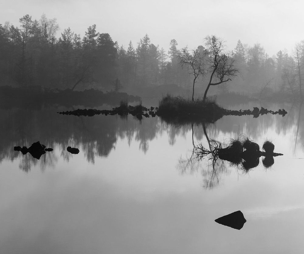 Тревожное утро