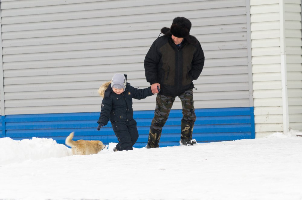 Ближе к братьям нашим меньшим