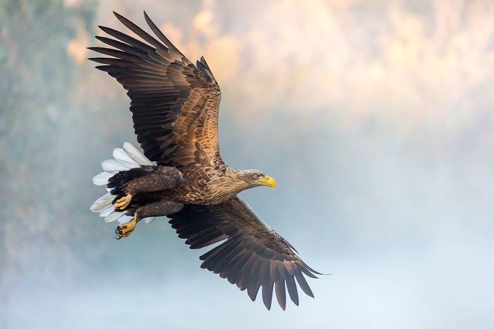 Проплывая над Волгой