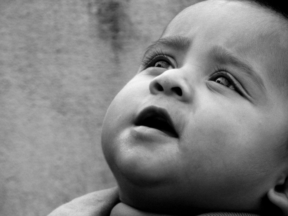 মায়ার বাঁধন