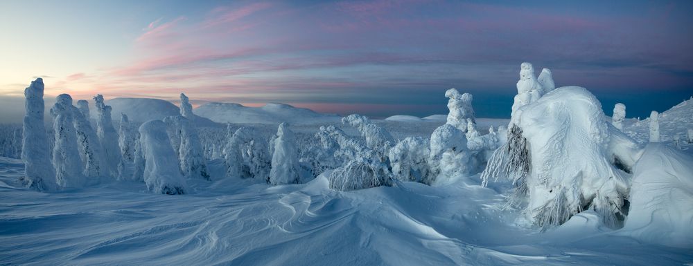 Солнцепоклонники, ожидание рассвета