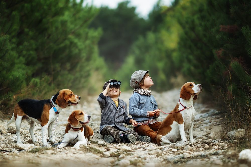 Мальчишки на охоте