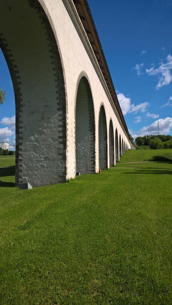 Photo #2221254