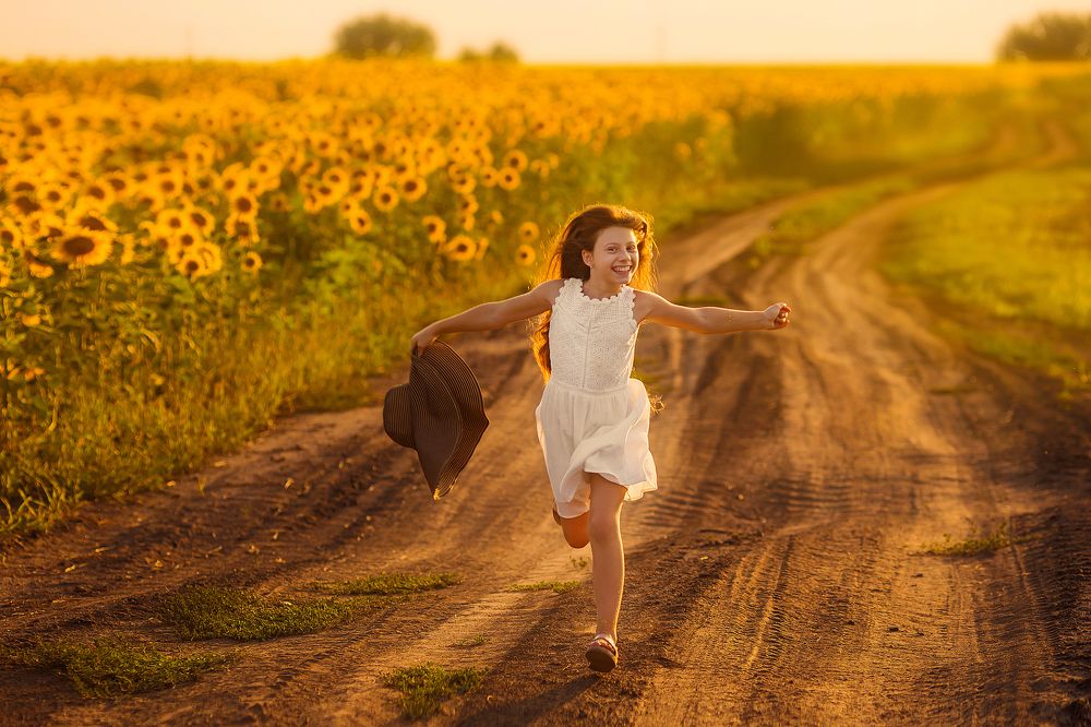 Подсолнухи