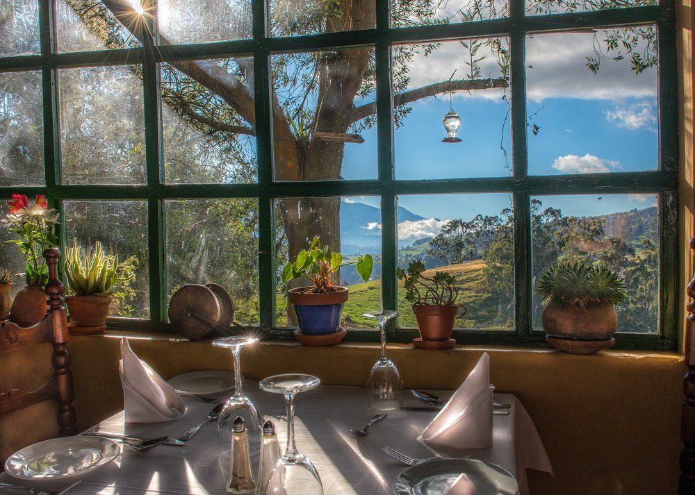 Эквадор - страна колибри.