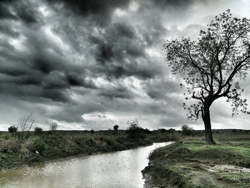 Mansoon