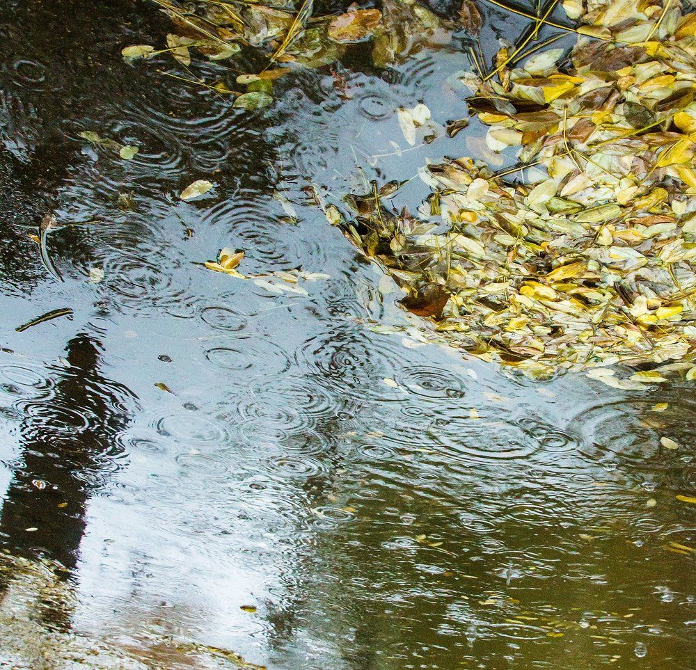 Отражение осени