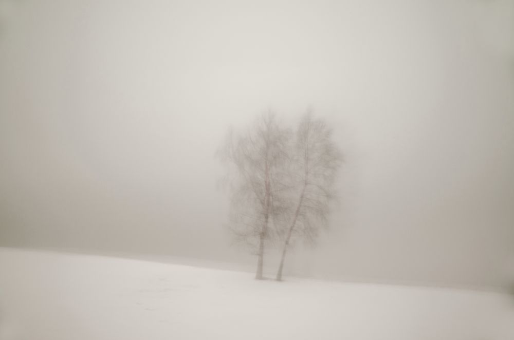 Двое в тумане