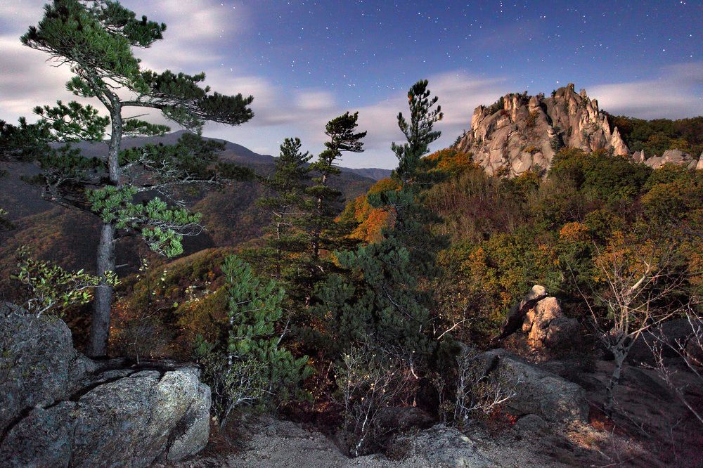 Crouching Tiger, Hidden Dragon