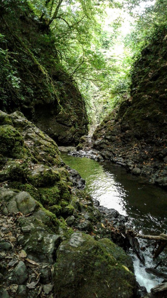 Фотография автора Olesya Kiknadze