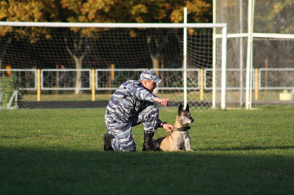 Давай, ты сможешь...