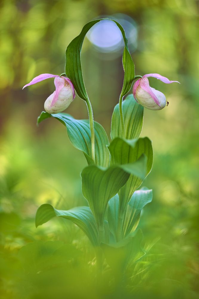 Вместе навсегда