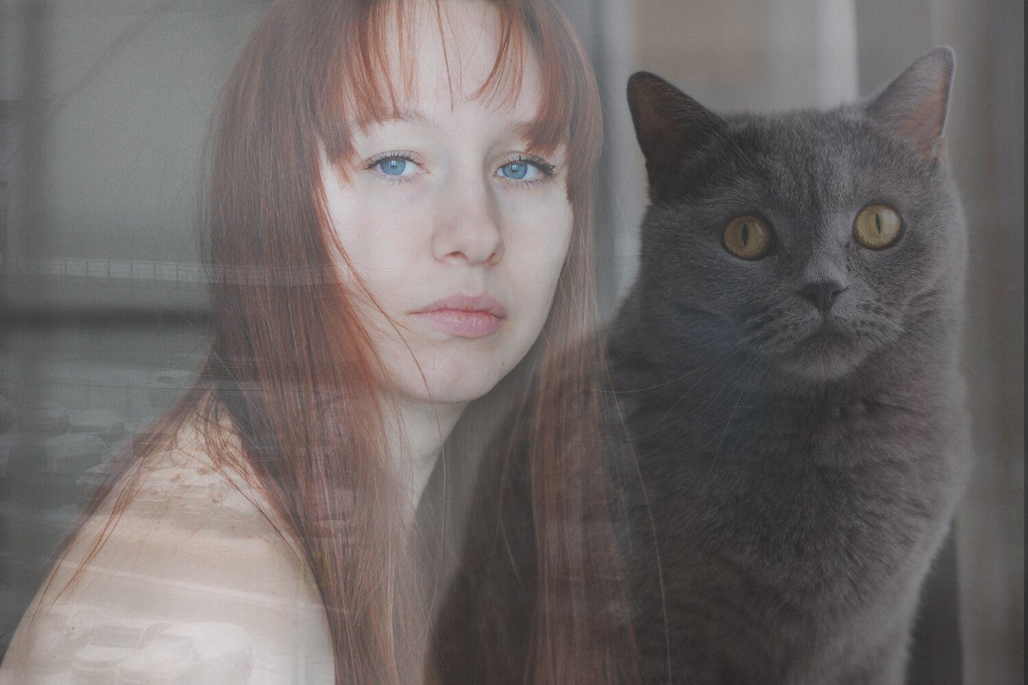 Кошка и ее хозяйка