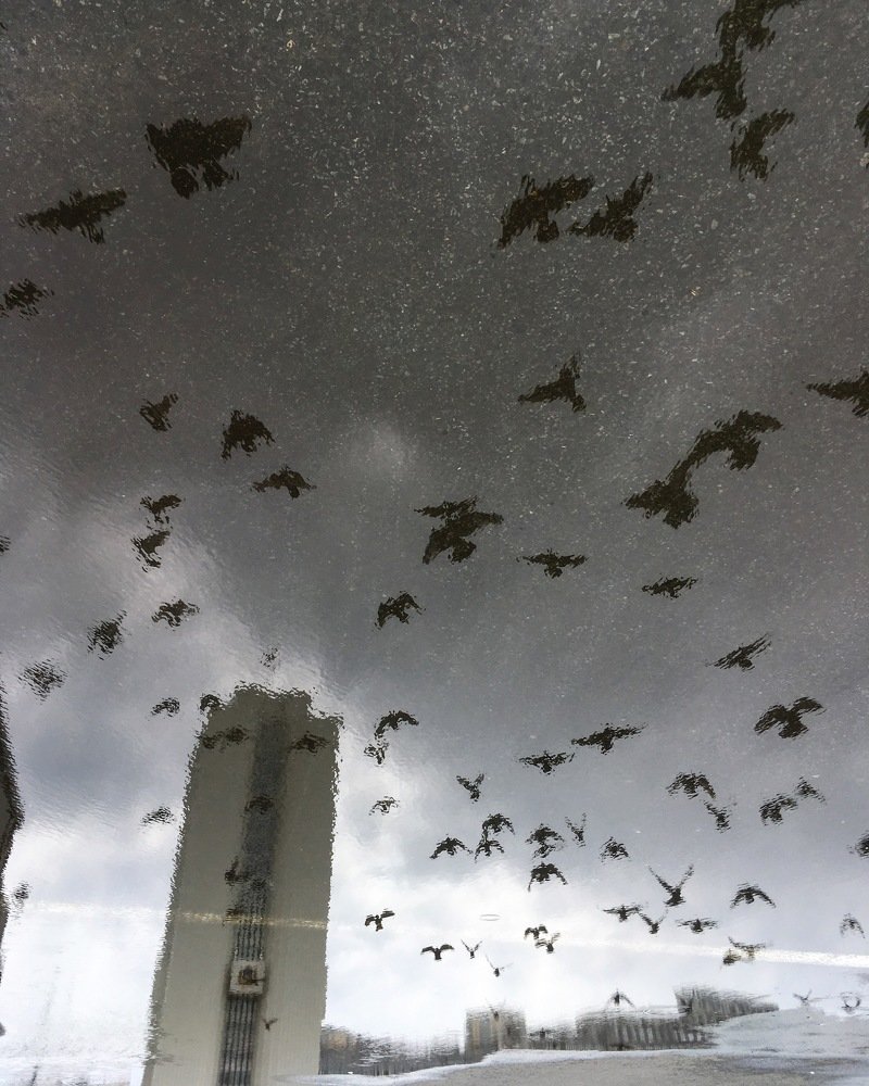 Photograph by Татьяна