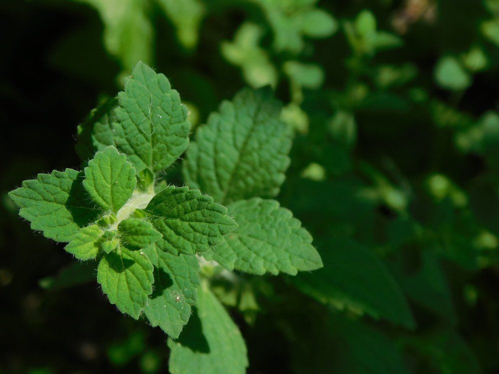 Кусочек нашего мира...