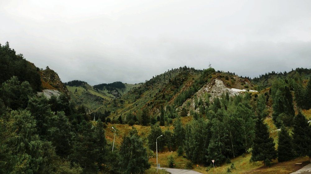Photo #2222258