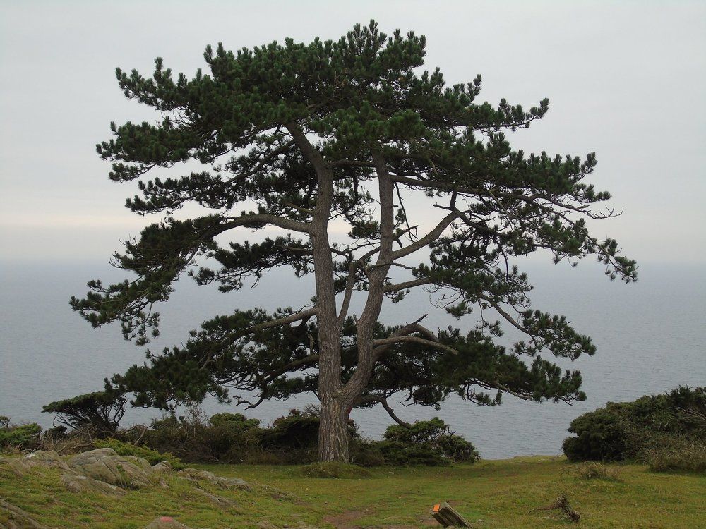 Одиночество