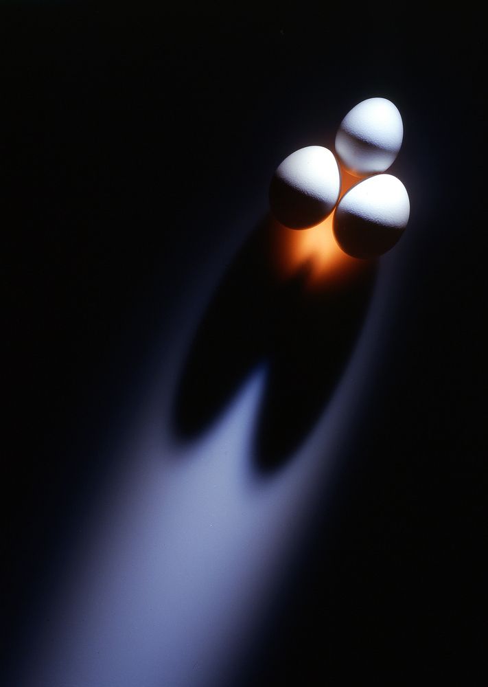 Яичница в полете.