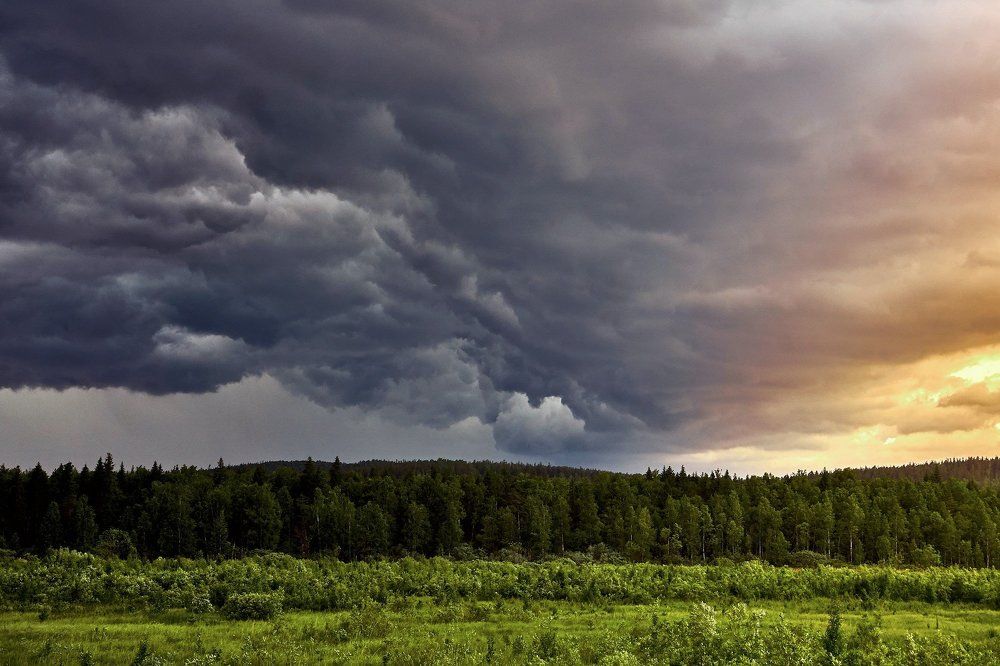 Гроза наступает