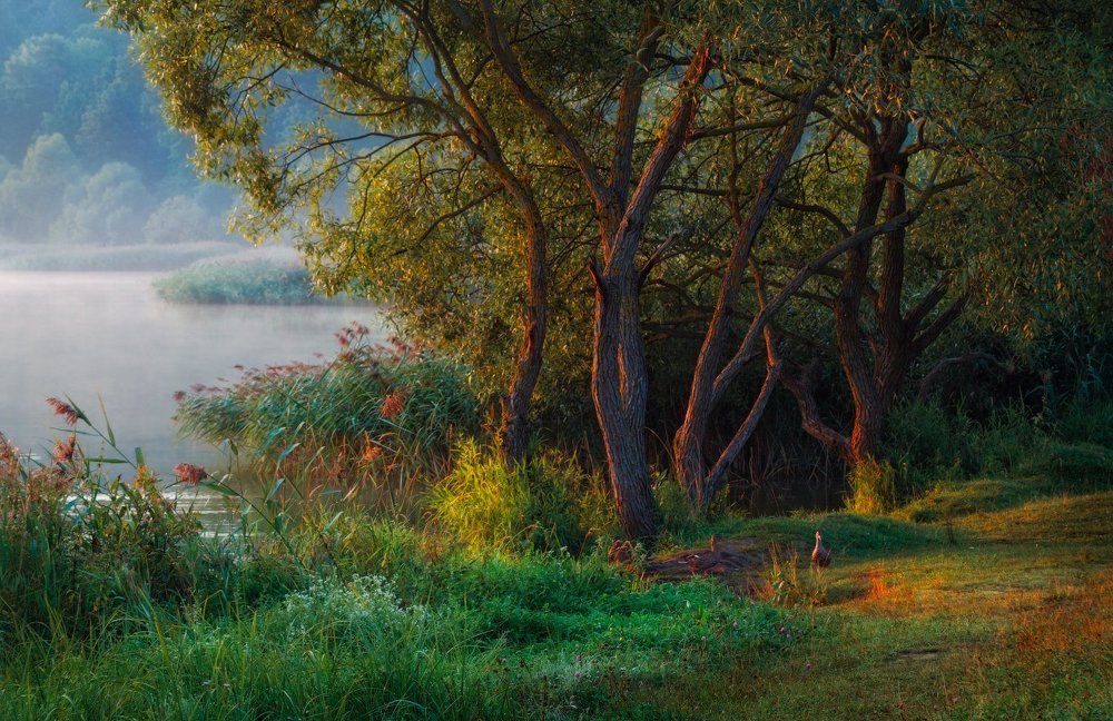 У озера на рассвете