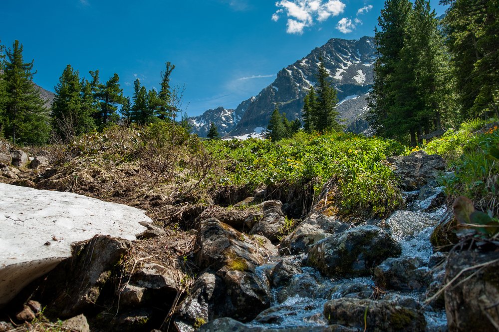 Летний день в горах
