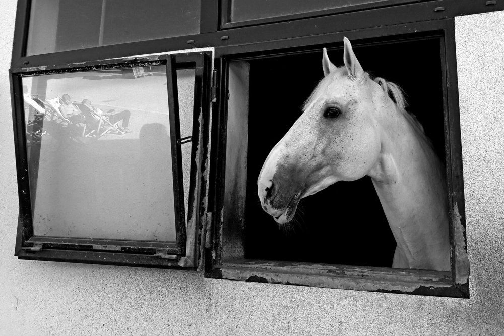 what's going on out there