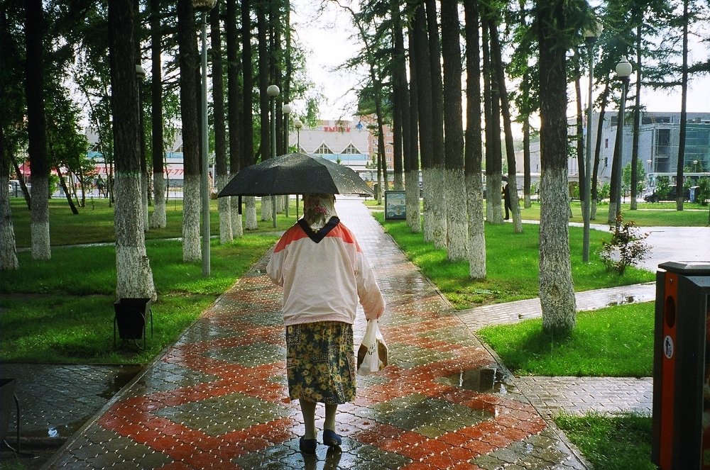 Летний дождь в городе