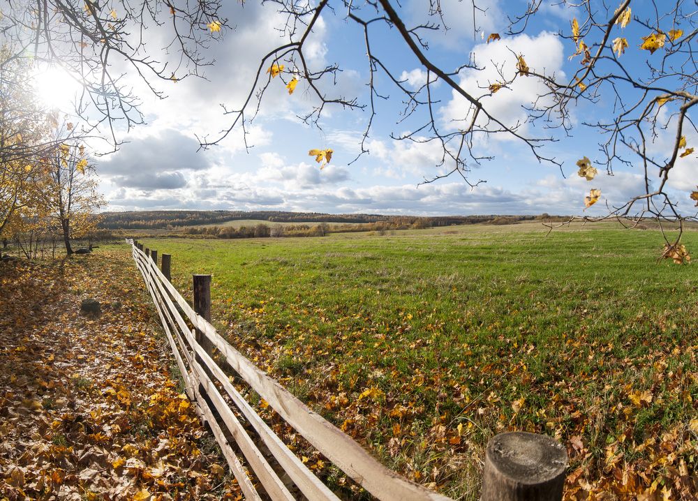 Осенний денек