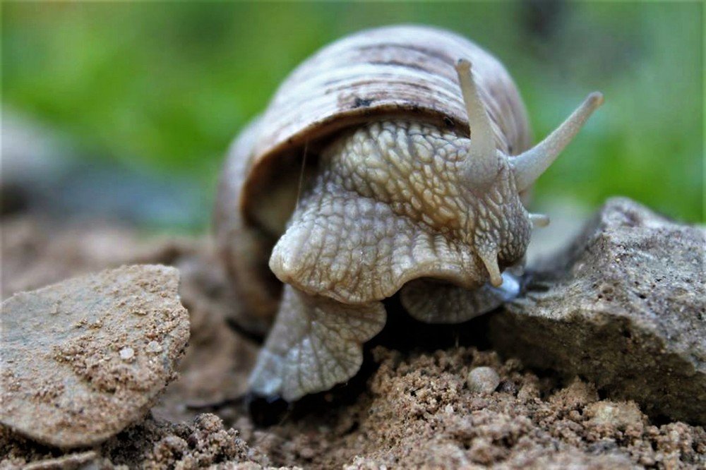 Photograph by Inese Firsova