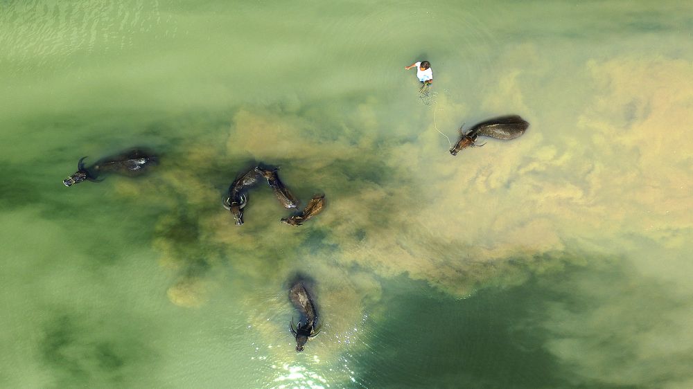 Con Sông Tuổi Thơ