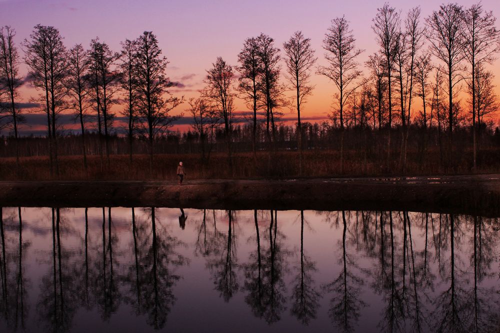 Evening by the pond.