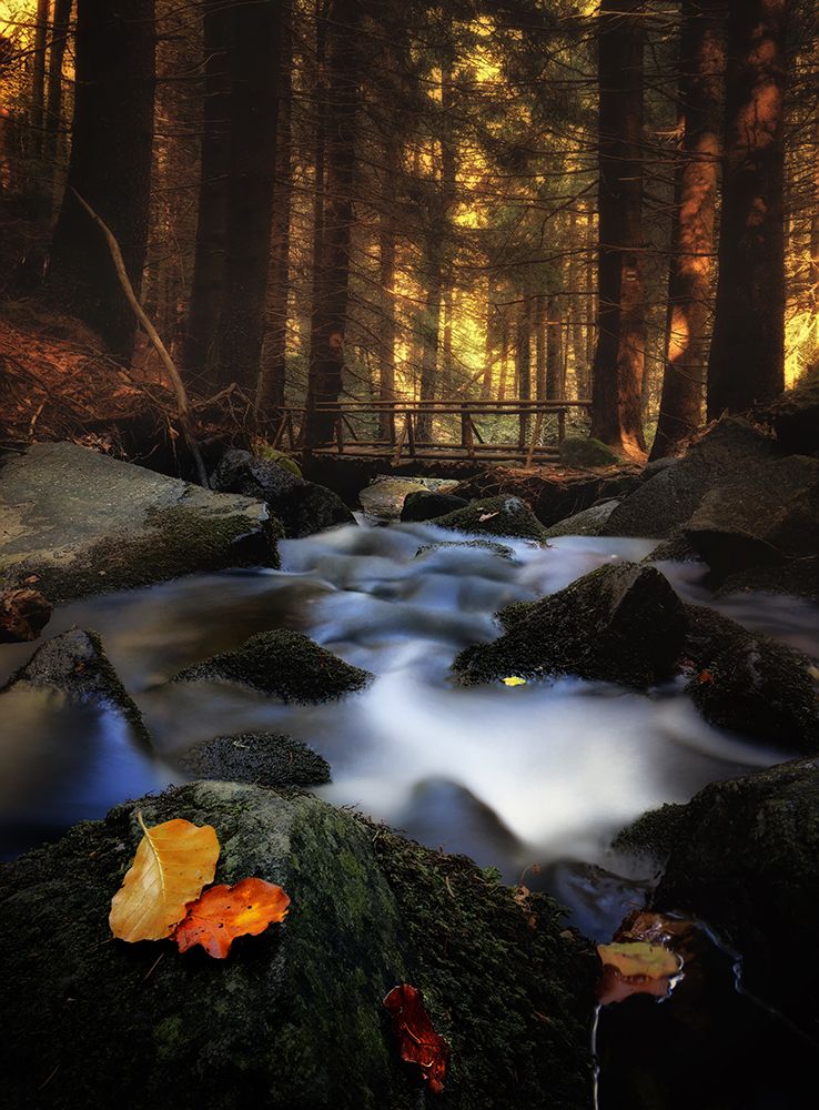 Autumn river