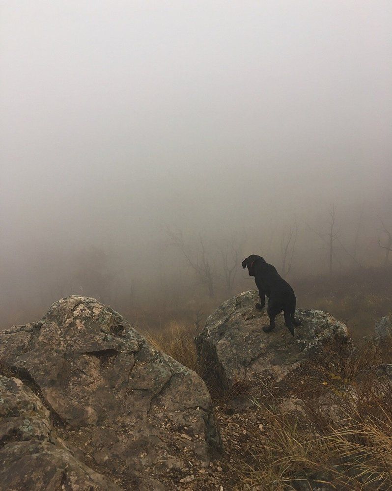 Photograph by Маша