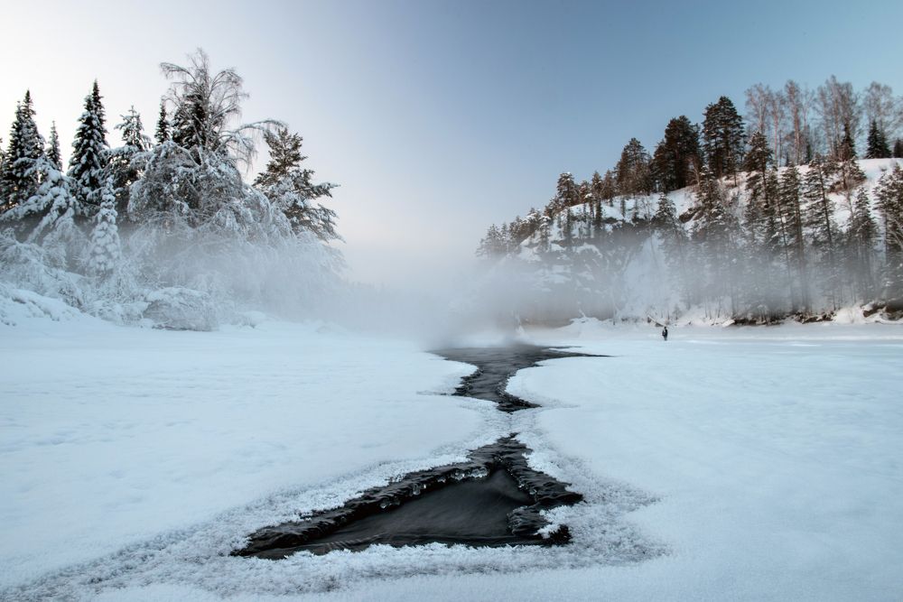 Геометрия природы