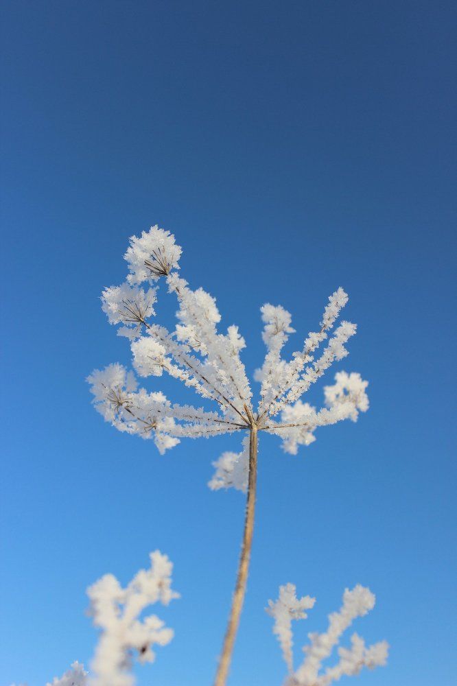 Фотография автора Анастасия Набока