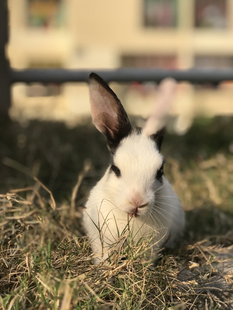 Photograph by Kamrul