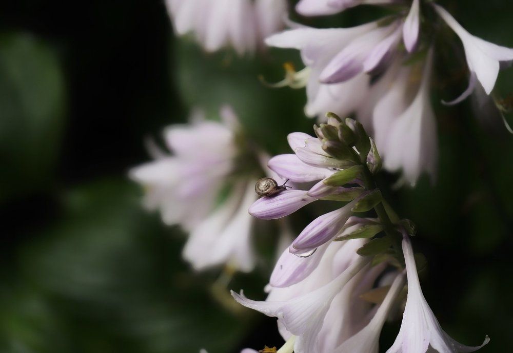 дождливый вечер