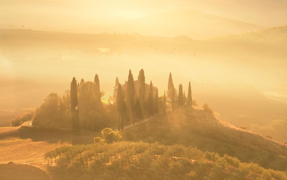 Golden Tuscany