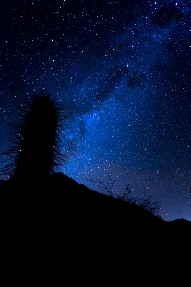 observando un mar de estrellas