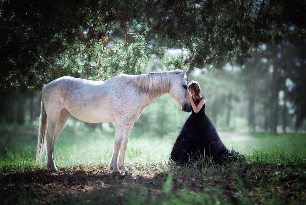 Лесная сказка