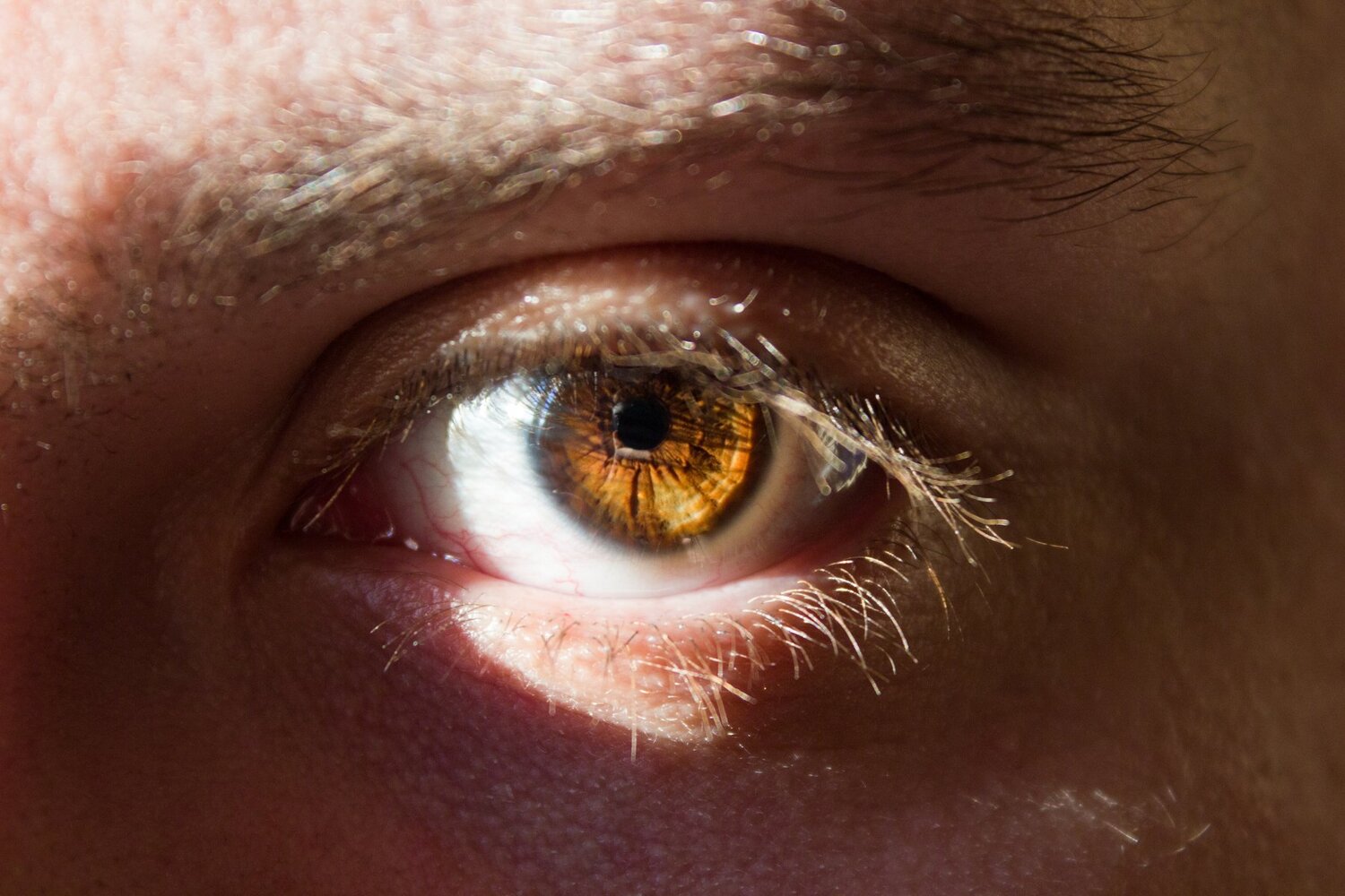 Свет