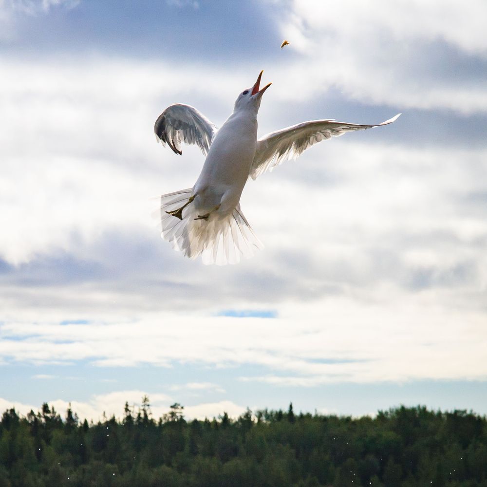 Пируэт | Full twist