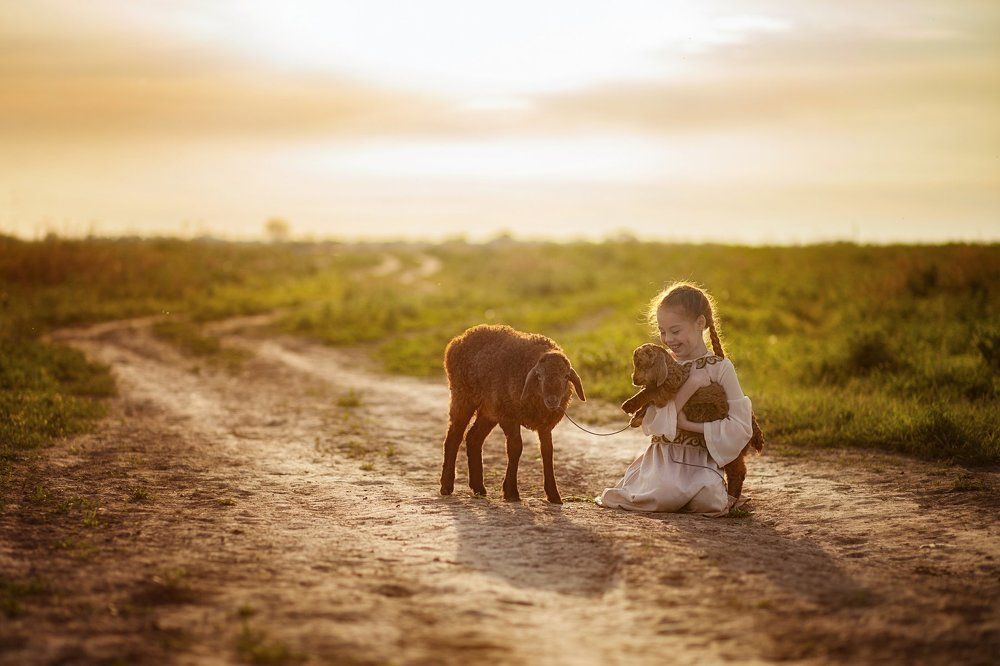 На закате дня