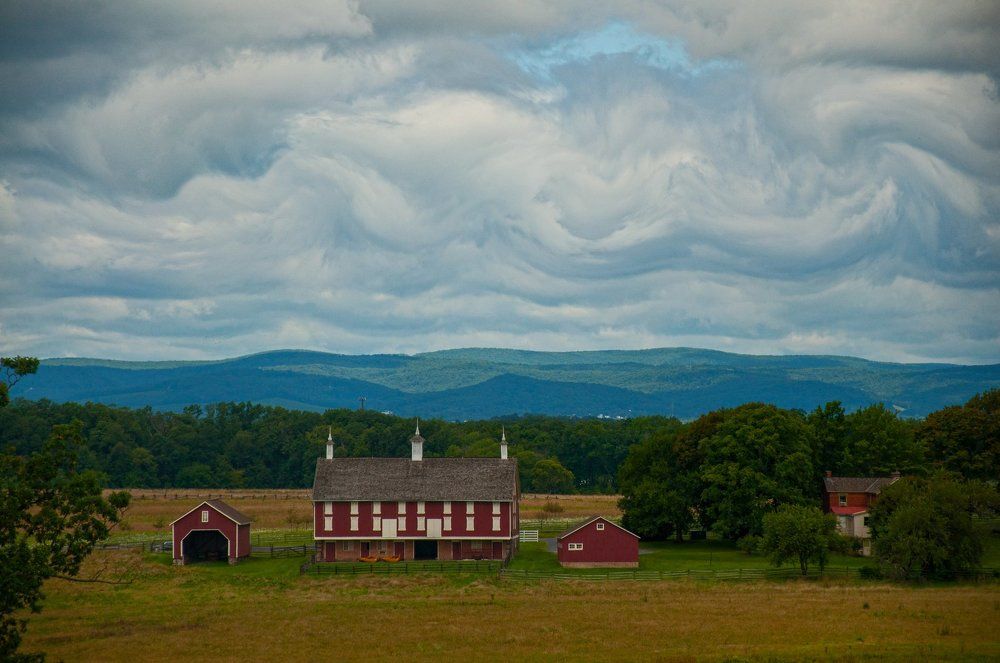 Photograph by Tiffanie Mora