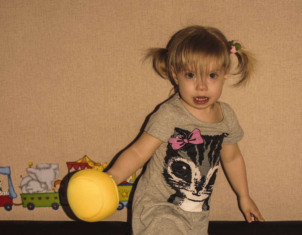 Домашний гандбол