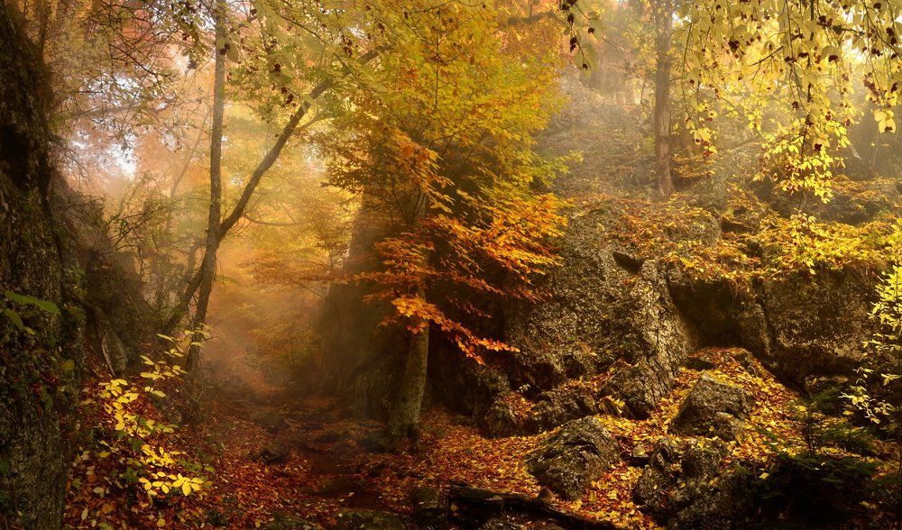 Фотография автора Владимир Метцгер