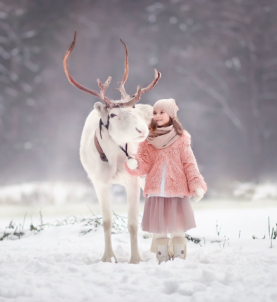 Поехали в Лапландию!