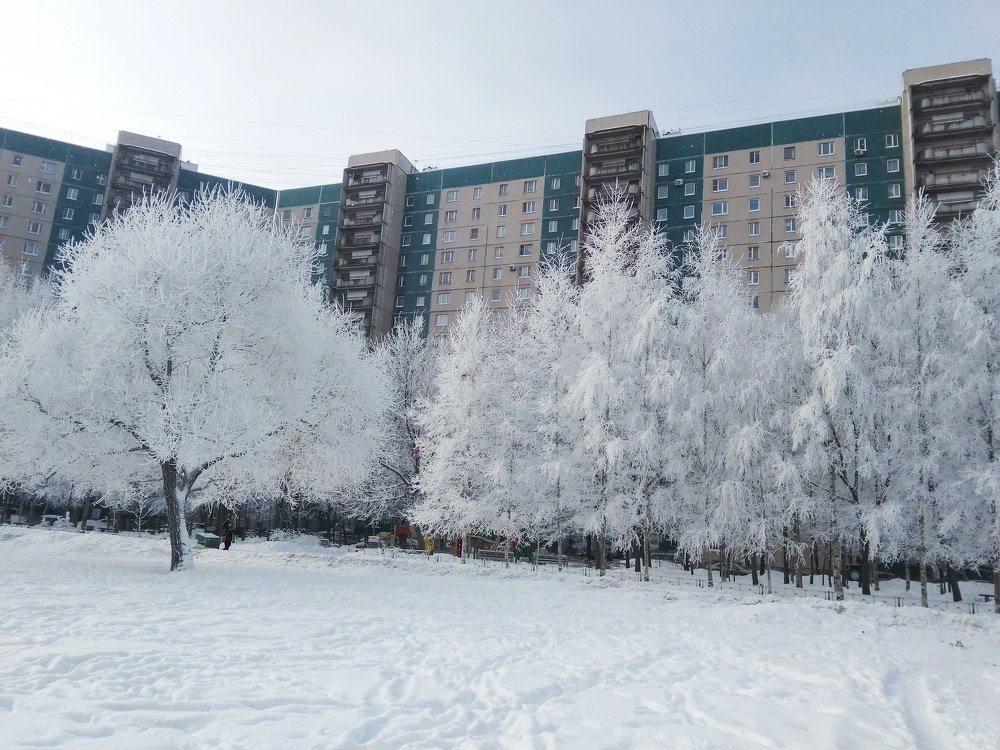 Фотография автора Светлана Дунаева